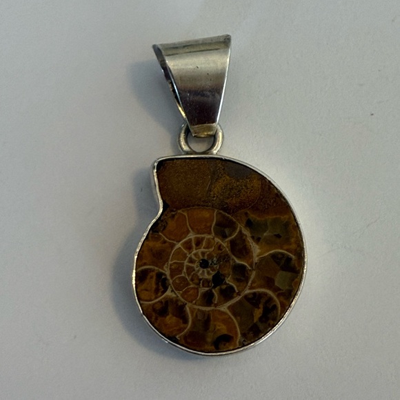 Charles Albert Brown Ammonite Fossil Pendant with Sterling Silver Frame - Picture 2 of 4